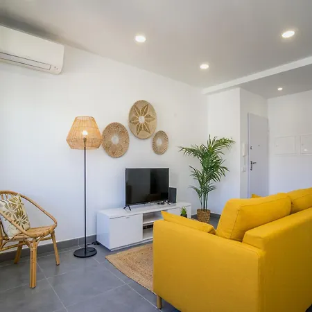 Akisol Gerbera Portimao