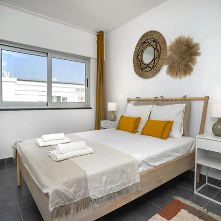 Akisol Gerbera ポルティマン